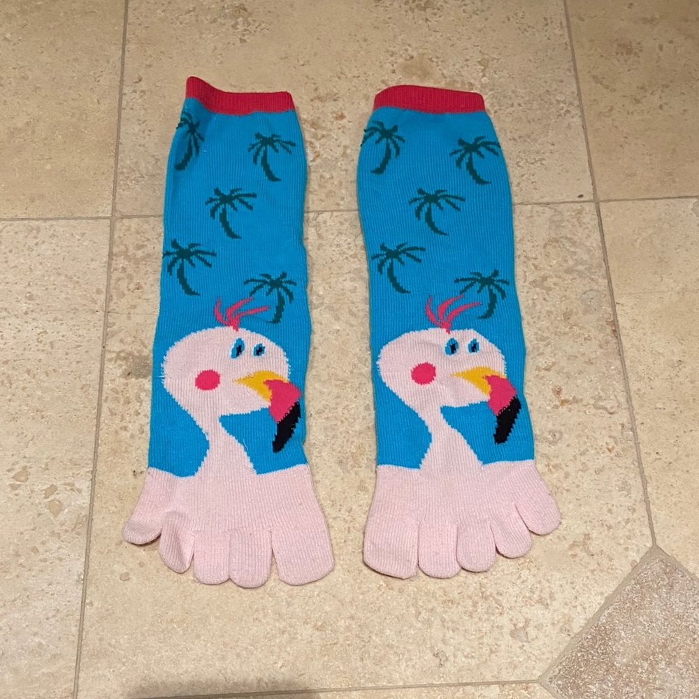Lightly Worn Flamingo Toe Socks